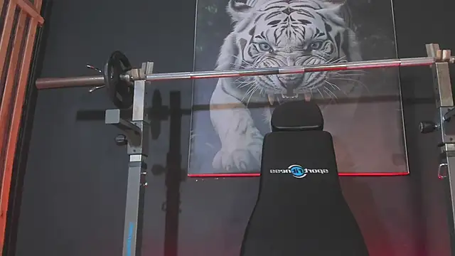 DimitriDeluxe live sex cam