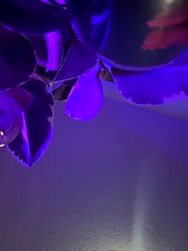 1n0nlythroat live sex cam