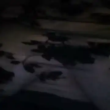 boranora87's web cam