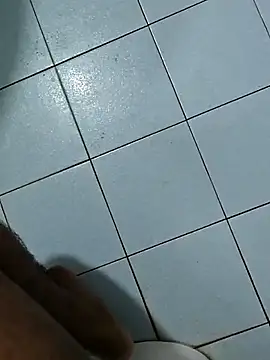 hass-925 live sex cam