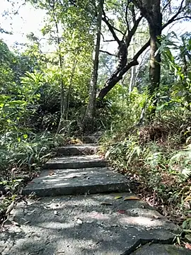 Zack2308tw live sex cam