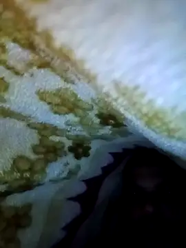 alone_boy802's cam snapshot