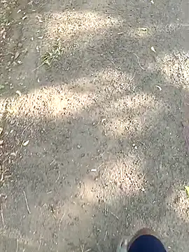 hemcrazy's cam snapshot