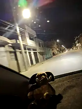 Gigolo_PnP's cam snapshot