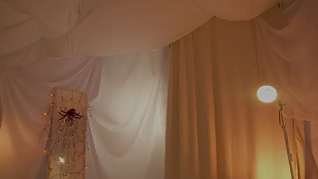 arizonasunrise's cam snapshot