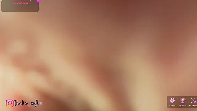 Laurent-Glass's cam snapshot