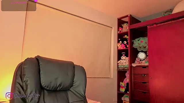 Laurent-Glass's cam snapshot