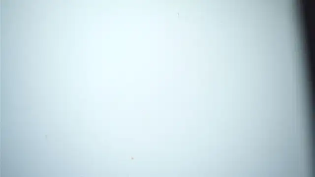 CataleyaSyrene's cam snapshot