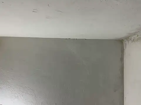 elvis0966's cam snapshot