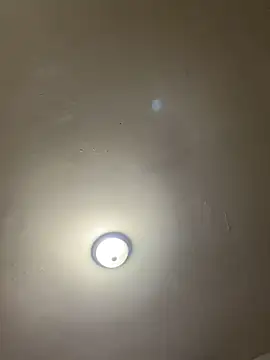 DiabloDicc74 live sex cam