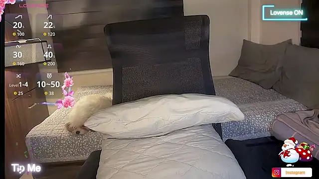 bella_maxwel live sex cam