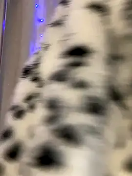 KellyMoors live sex cam