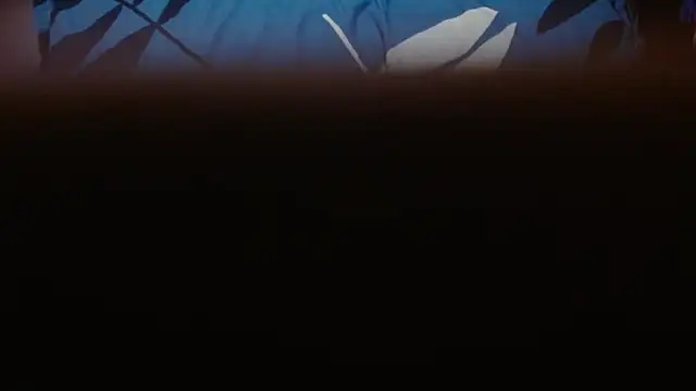 funndudd live sex cam