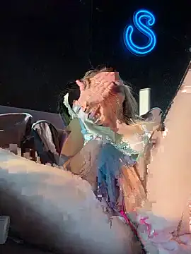 SSSATIVA_model's cam snapshot