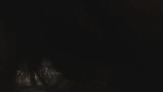 megan_b0obs's cam snapshot