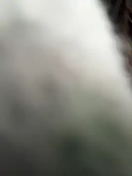 Xixi-Gala's cam snapshot