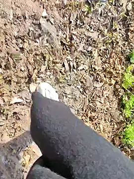 shaoshao-7758 live sex cam