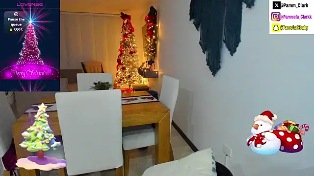 PammelaClark2's cam snapshot