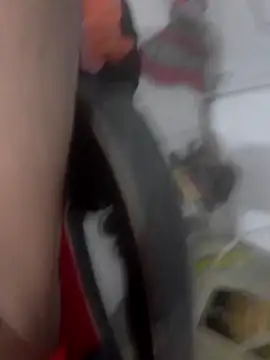 WhooshedEldest's cam snapshot