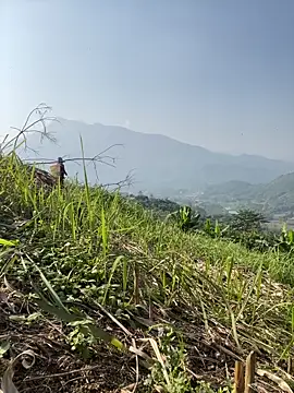 Irin_jo's cam snapshot