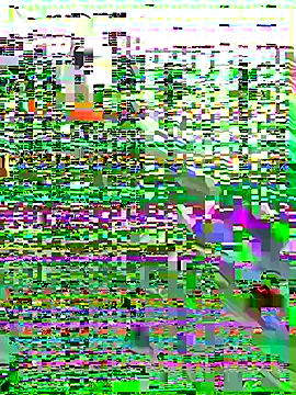 pitty_mymi's cam snapshot