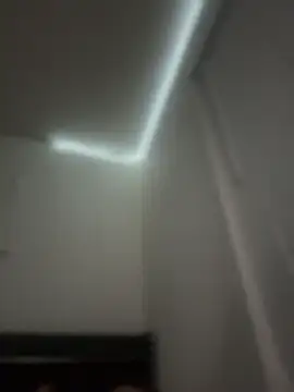 papijusto live sex cam