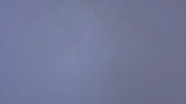 Fernanda_brown18 live sex cam