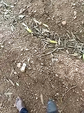 spermc's cam snapshot