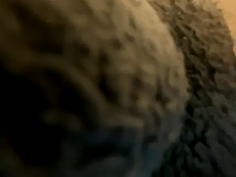 kaikai1335 live sex cam