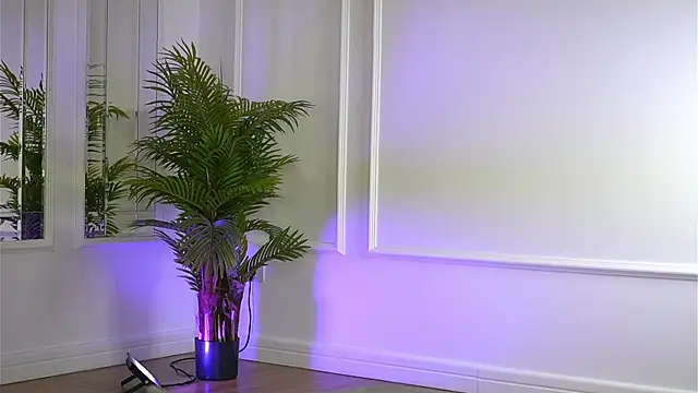 Cherrysweett live sex cam