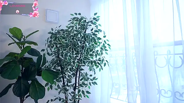 MalvinaKroening live sex cam