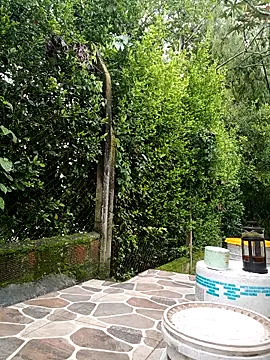 sebasxx97 live sex cam