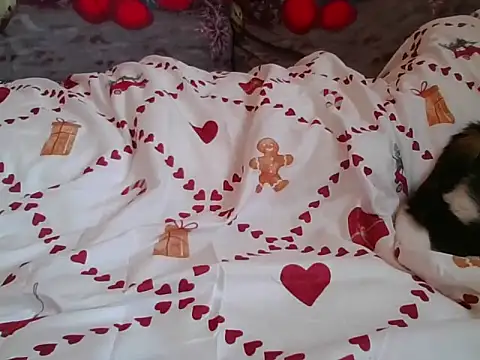 RealLittleRedRidingHood's cam snapshot