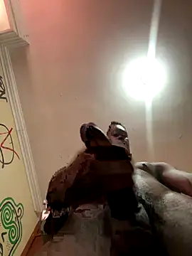 noah_johes's cam snapshot