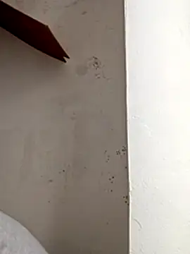 Dodge777's cam snapshot