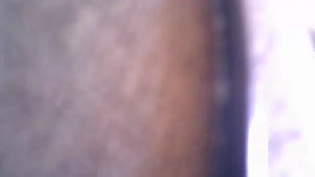 pornstarbrezillian live sex cam