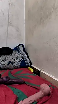 trans511 live sex cam