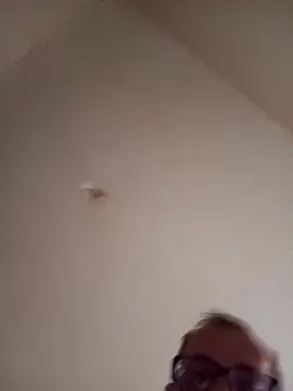 bestofyalcinturkey live sex cam