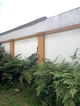 PamelaJonsom_ live sex cam