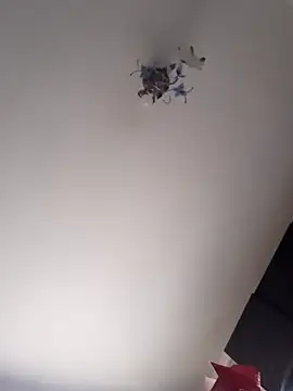 Veronica-Celie's web cam