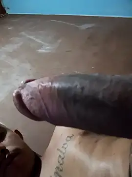 mestre637 live sex cam