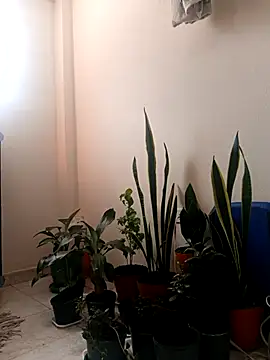 Kaira69's cam snapshot