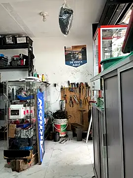 Paul22cm- live sex cam