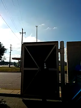 Dropdingo live sex cam