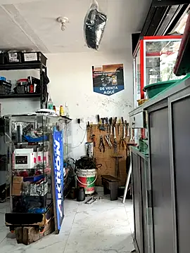 Paul22cm- live sex cam