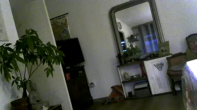 frenchblackc31 live sex cam