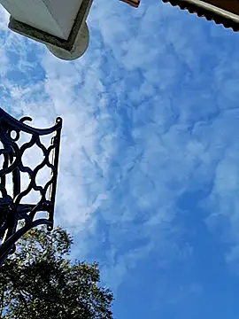 delfi6's cam snapshot