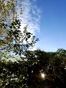 delfi6's cam snapshot