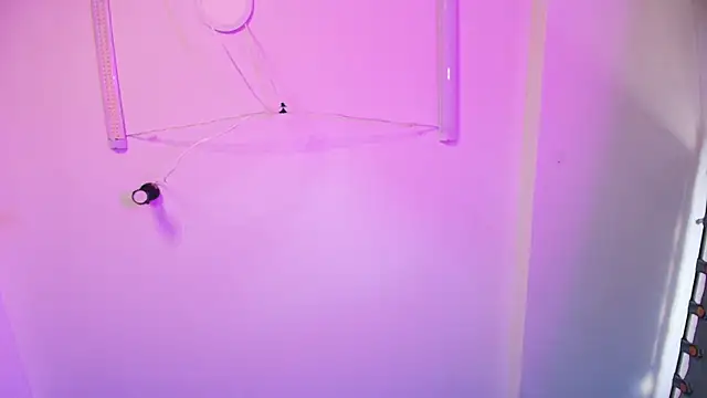 liccy_hall live sex cam