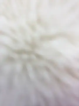 babydolll live sex cam